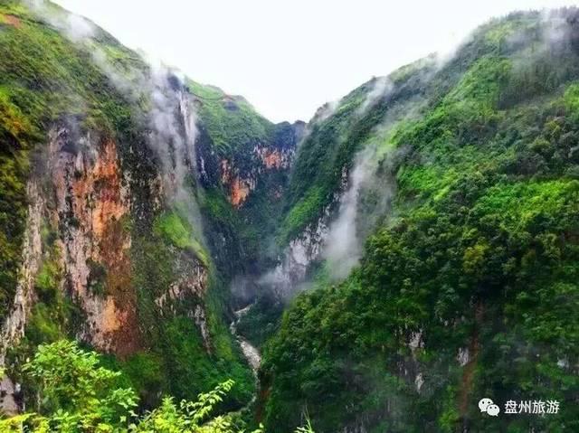 逗小猴开心系列181